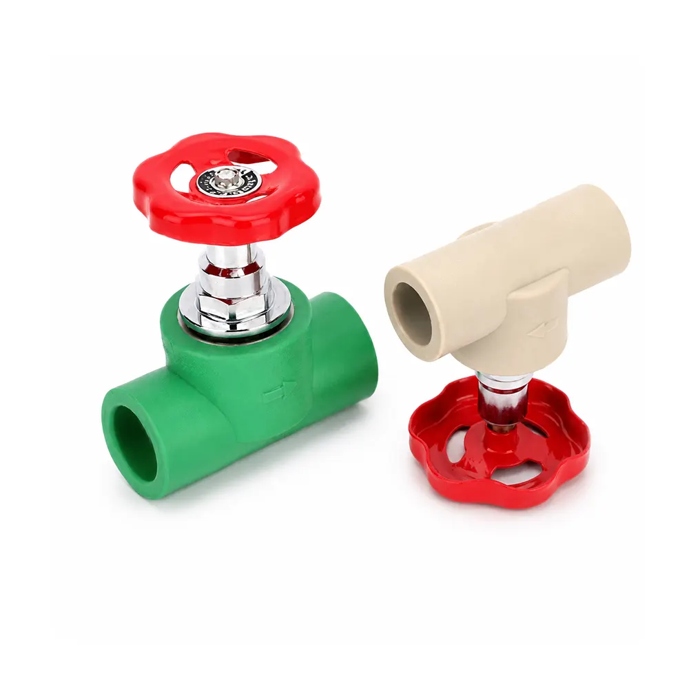 globe valve
