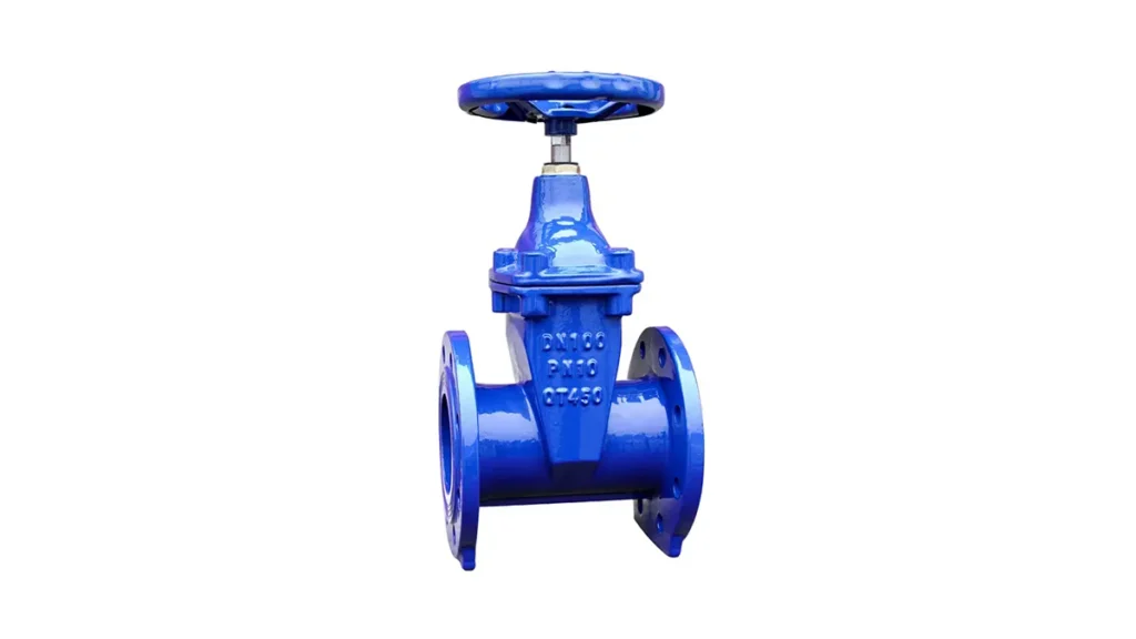 gate valve