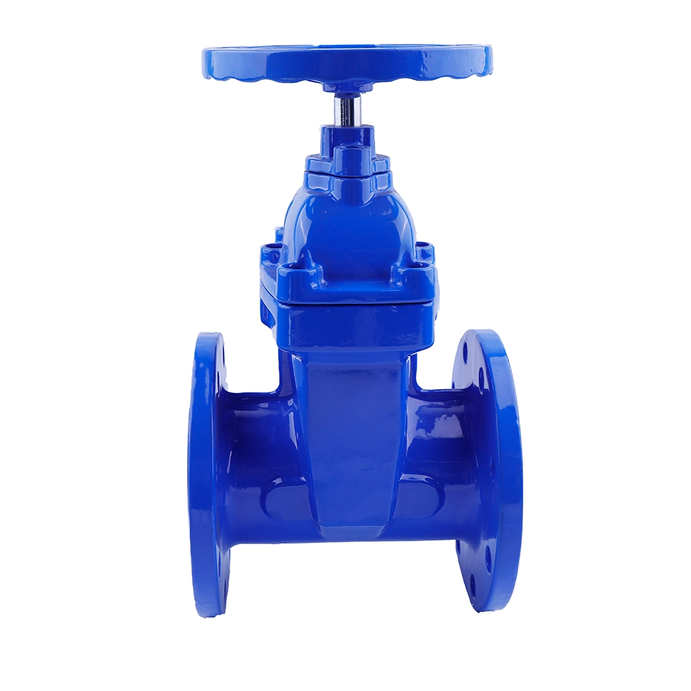 gate valve