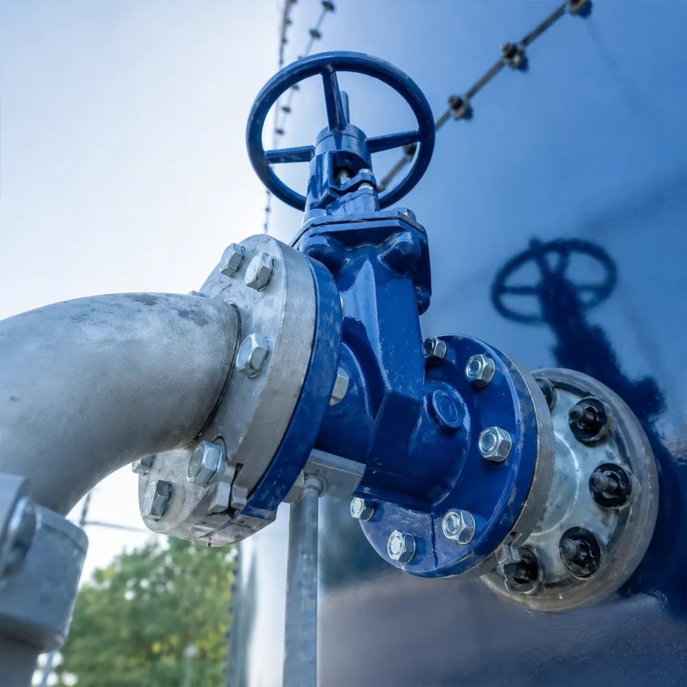 valves